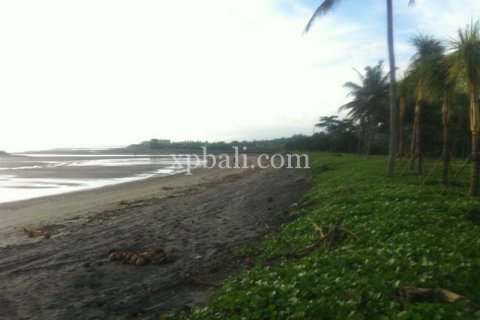 62440m2 Land in Negara, Jembrana, Bali (1060) 8
