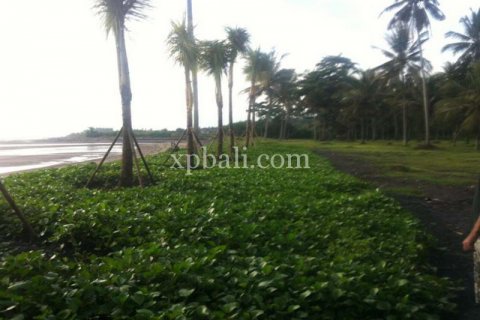 62440m2 Land in Negara, Jembrana, Bali (1060) 3