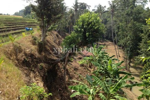 7715m2 Land in Tabanan, Bali (1062) 4