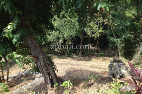 7715m2 Land in Tabanan, Bali (1062) 6