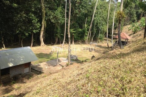 7715m2 Land in Tabanan, Bali (1062) 7
