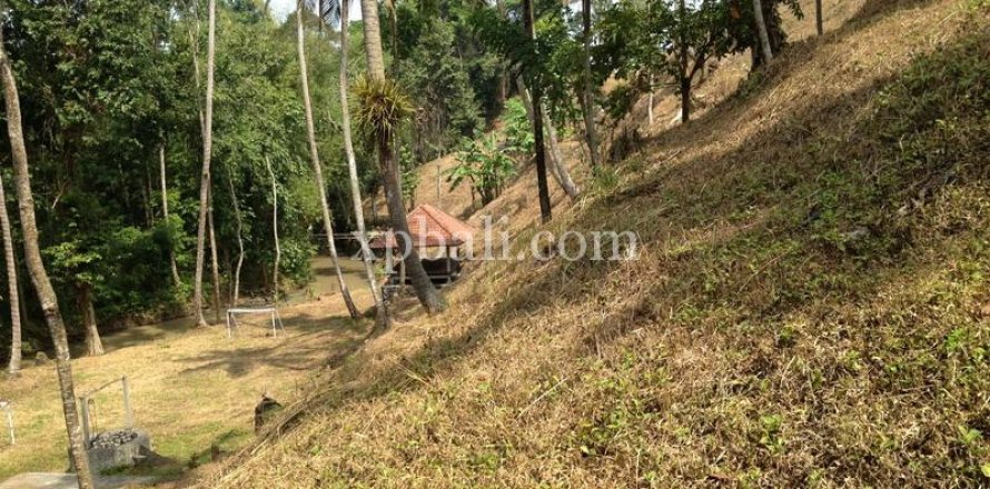 7715m2 Land in Tabanan, Bali (1062)
