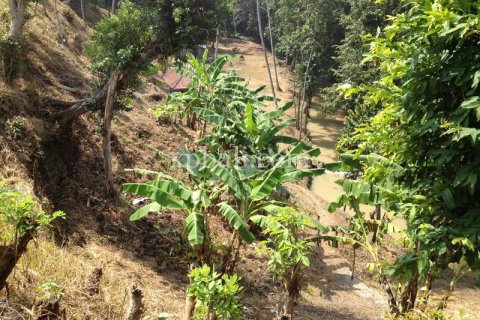 7715m2 Land in Tabanan, Bali (1062) 3