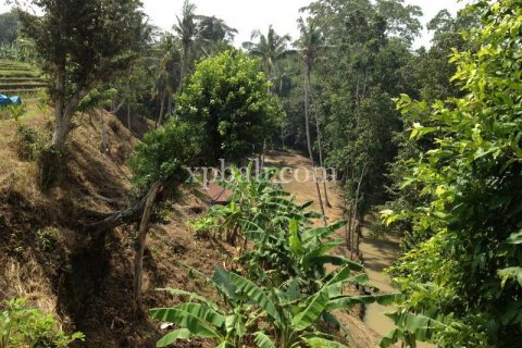 7715m2 Land in Tabanan, Bali (1062) 5