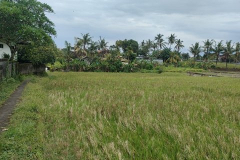 Land in Tumbak Bayuh, Mengwi, Badung, Bali (12235) 5