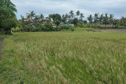 Land in Tumbak Bayuh, Mengwi, Badung, Bali (12235) 7