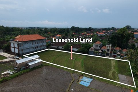 Land in Tumbak Bayuh, Mengwi, Badung, Bali (12235) 2