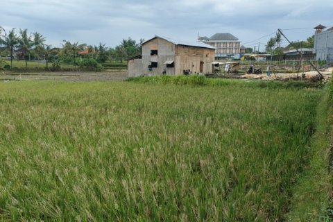 Land in Tumbak Bayuh, Mengwi, Badung, Bali (12235) 6