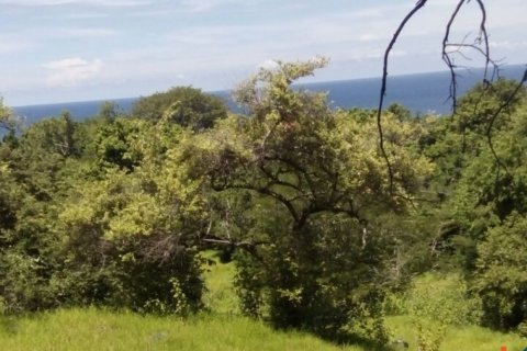 Land in Bali (12241) 5