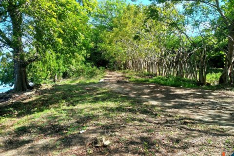 Land in Bali (12241) 2