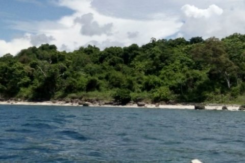 Land in Bali (12241) 3