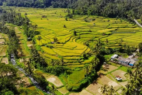 Tanah kavling di Karangasem, Karang Asem, Bali (11454)