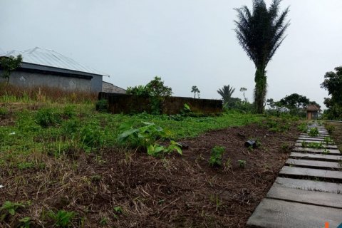 Tanah kavling di Buleleng, Bali (14049)