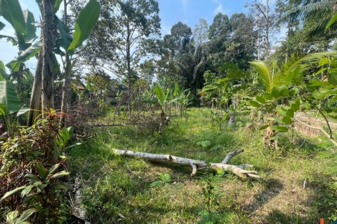 Land in Badung, Bali (14050) 2