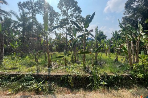 Land in Badung, Bali (14050) 4