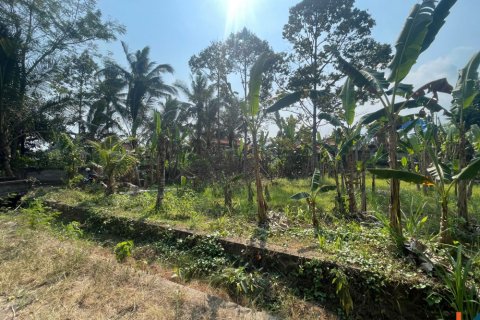 Land in Badung, Bali (14050) 3