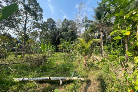 Tanah kavling di Badung, Bali (14050)