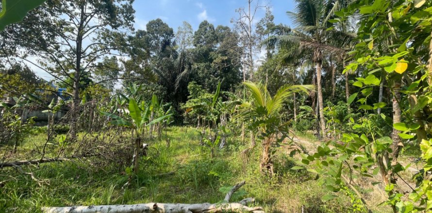 Land in Badung, Bali (14050)