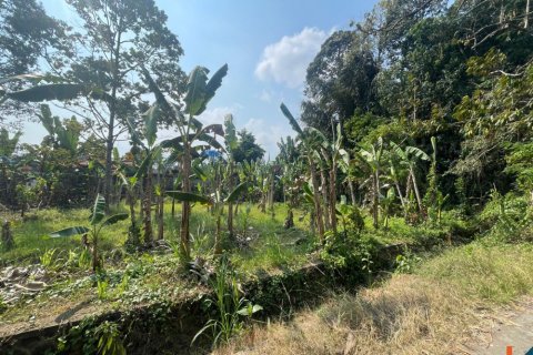 Land in Badung, Bali (14050) 5