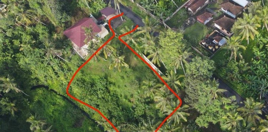 Земельный участок в Гианьяр, Бали (11800)