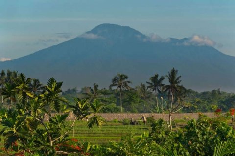 4 bedrooms Villa in Canggu, Badung, Bali (1292) 28