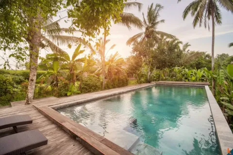 4 bedrooms Villa in Ubud, Gianyar, Bali (11102) 2