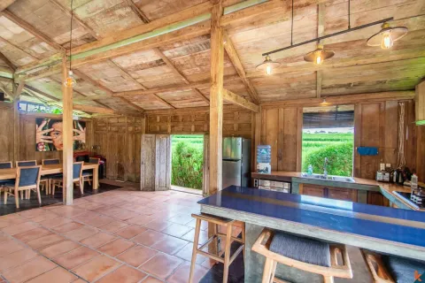 4 bedrooms Villa in Ubud, Gianyar, Bali (11102) 16