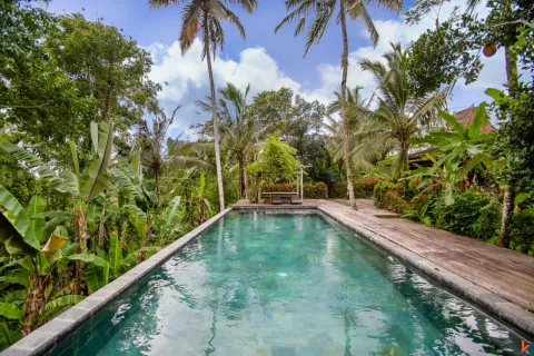 4 bedrooms Villa in Ubud, Gianyar, Bali (11102) 11