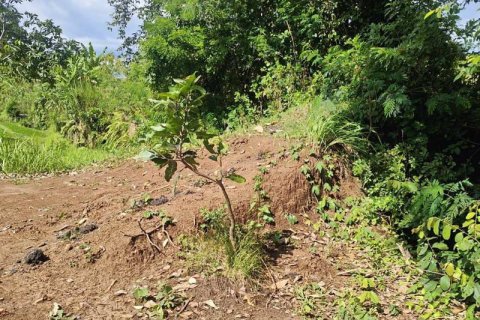 Tanah kavling 400m2 di Tabanan, Bali (13998) 7