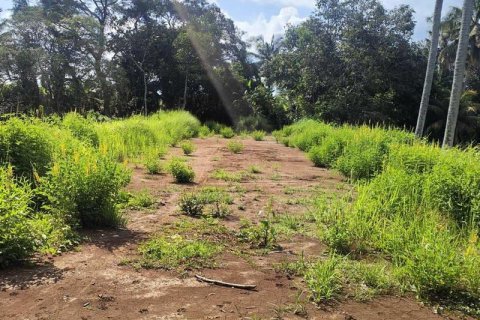 Tanah kavling 400m2 di Tabanan, Bali (13998) 9