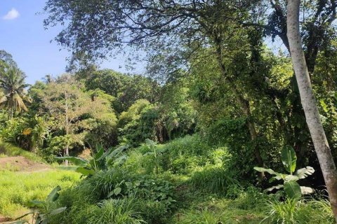 Tanah kavling 400m2 di Tabanan, Bali (13998) 13