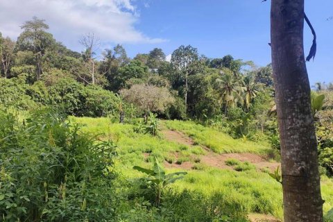 Tanah kavling 400m2 di Tabanan, Bali (13998) 12