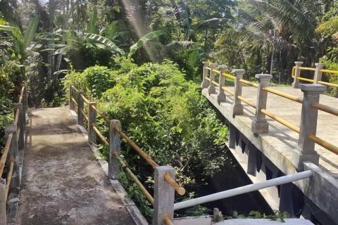 Tanah kavling 400m2 di Tabanan, Bali (13998) 2