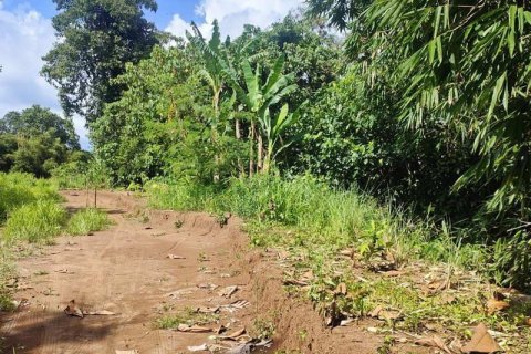 Tanah kavling 400m2 di Tabanan, Bali (13998) 14