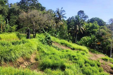 Tanah kavling 400m2 di Tabanan, Bali (13998) 8