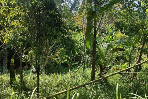 Tanah kavling 400m2 di Tabanan, Bali (13998) 21