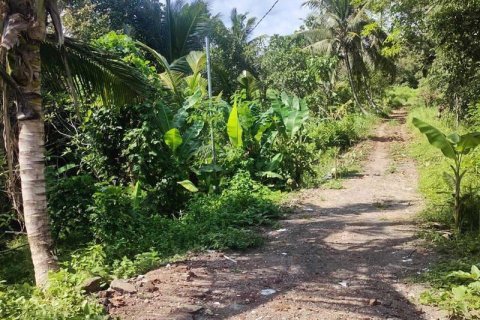 Tanah kavling 400m2 di Tabanan, Bali (13998) 18
