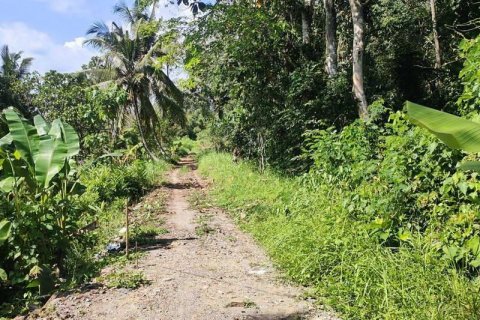 Tanah kavling 400m2 di Tabanan, Bali (13998) 17