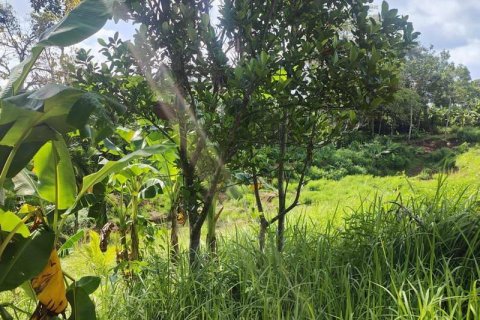 Tanah kavling 400m2 di Tabanan, Bali (13998) 23