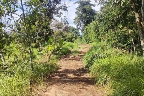 Tanah kavling 400m2 di Tabanan, Bali (13998) 20