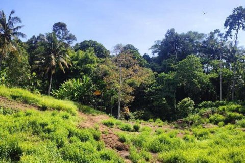 Tanah kavling 400m2 di Tabanan, Bali (13998) 4