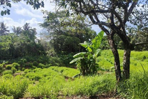 Tanah kavling 400m2 di Tabanan, Bali (13998) 5