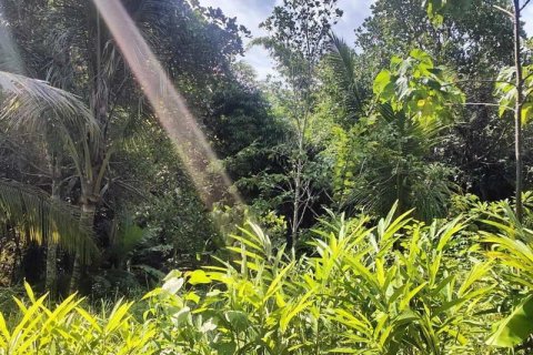 Tanah kavling 400m2 di Tabanan, Bali (13998) 16