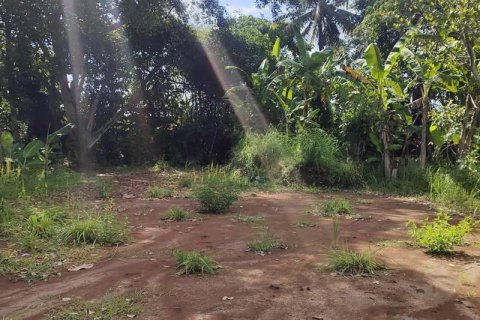 Tanah kavling 400m2 di Tabanan, Bali (13998) 10