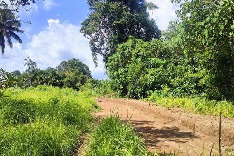 Tanah kavling 400m2 di Tabanan, Bali (13998) 6