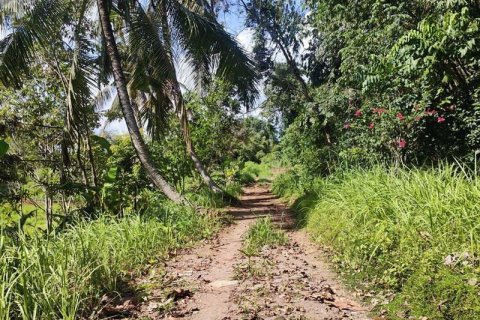 Tanah kavling 400m2 di Tabanan, Bali (13998) 19