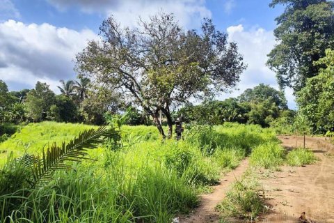 Tanah kavling 400m2 di Tabanan, Bali (13998) 3