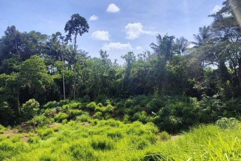 Tanah kavling 400m2 di Tabanan, Bali (13998) 11