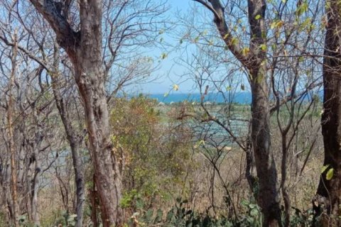 900m2 Land in Lovina, Anturan, Buleleng, Bali (14001)
