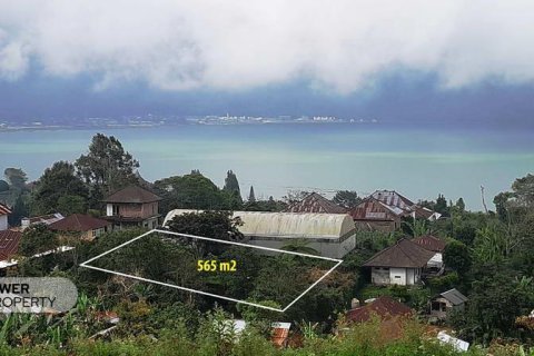 565m2 Land in Tabanan, Bali (13997)